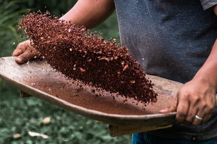 Bribri Shaman Tour: Medicinal Plants, Cacao & Waterfall Experience near Puerto Viejo photo 4