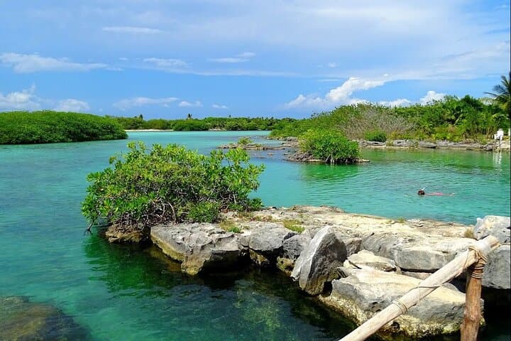 Rappel, Ziplines & Snorkel: Full-Day Extreme Adventure from the Riviera Maya photo 6
