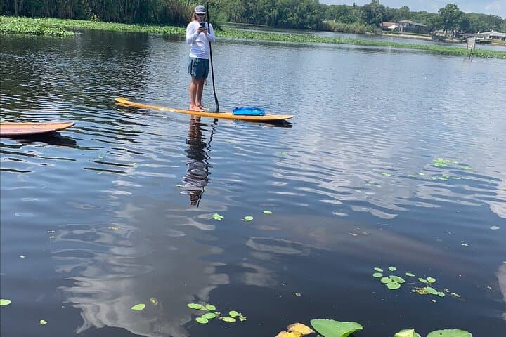 Orlando Manatee Kayak & Olde Florida History Tour on the St. Johns River