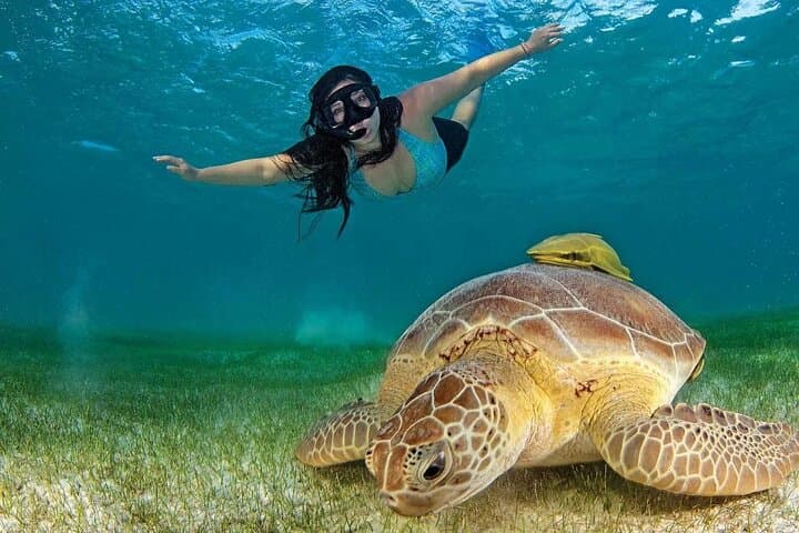 Akumal Turtle Snorkel and Tulum Ruins Day Trip from Cancun photo 6