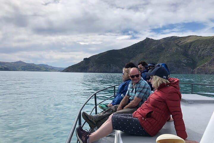 Akaroa Wildlife Cruise: Small-Boat Tours to See Hector's Dolphins and Seals photo 2