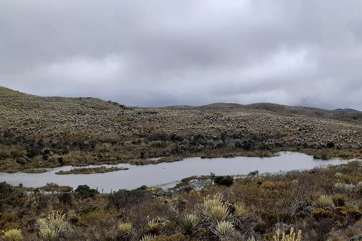 Sumapaz Moorland Hike: Day Trip to Boca Grande Lake and Paramo Birding photo 3