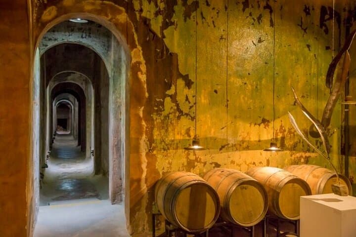 Private Wine Tour to Colonia Caroya — Boutique Wineries & Chef Pairing