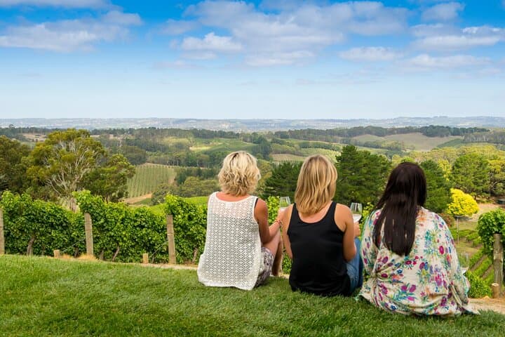 Private Adelaide Hills Luxury Wine Tour: Boutique Wineries, Sparkling & Gourmet Lunch photo 3