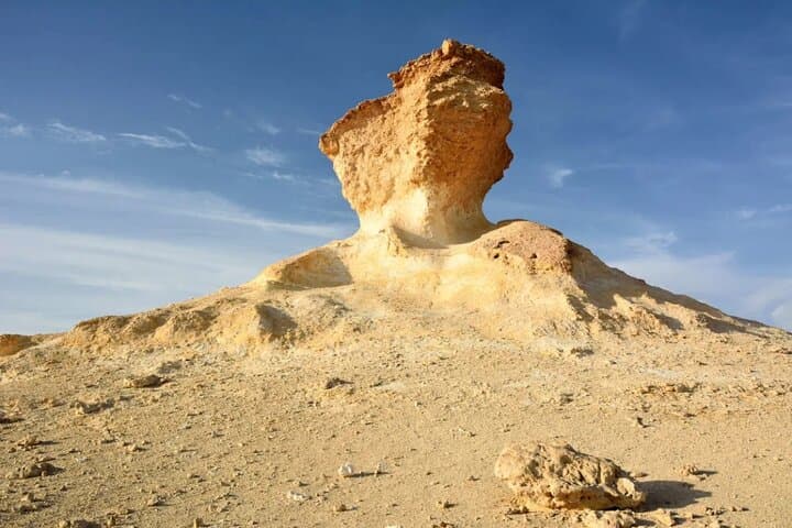 Explore North and West Qatar: Full-Day Cultural and Coastal Adventure photo 3
