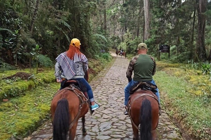 Medellin Horse Ride Coffee Tour and Spa at Don Leandro Coffee Farm photo 1