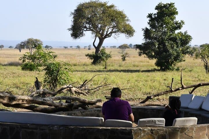 Three-Day Budget Safari: Ngorongoro Crater, Lake Manyara & Tarangire photo 6