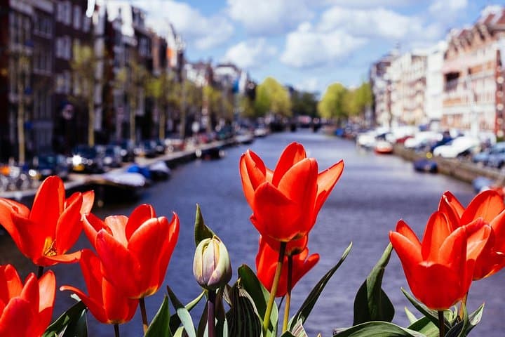 Amsterdam Scavenger Hunt: Self-Guided Audio Walking Tour of 10+ Highlights photo 6