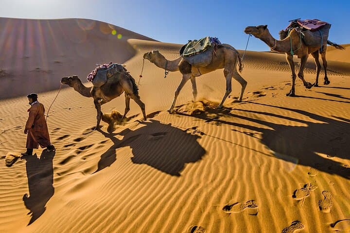 4-Day Camel Trek Across the Moroccan Sahara: M'Hamid to the Erg Dunes photo 3