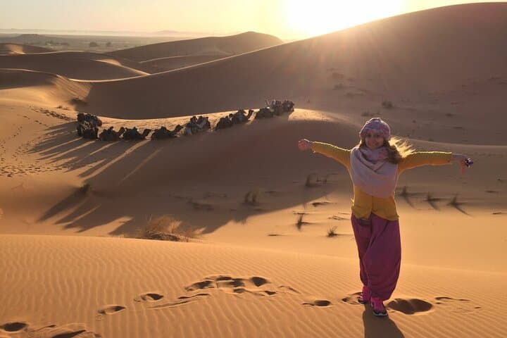 4-Day Camel Trek Across the Moroccan Sahara: M'Hamid to the Erg Dunes photo 5