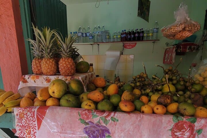 Dunns River Falls Full-Day Guided Tour from Montego Bay — Climb the Falls & Ocho Rios Shopping photo 5
