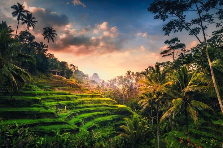 Ubud Waterfall, Tegalalang Rice Terraces & Bali Swing: Half-Day Adventure
