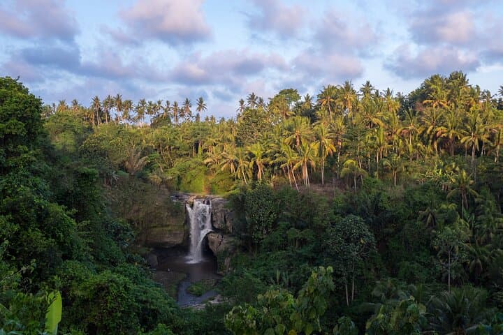 Ubud Waterfall, Tegalalang Rice Terraces & Bali Swing: Half-Day Adventure photo 6