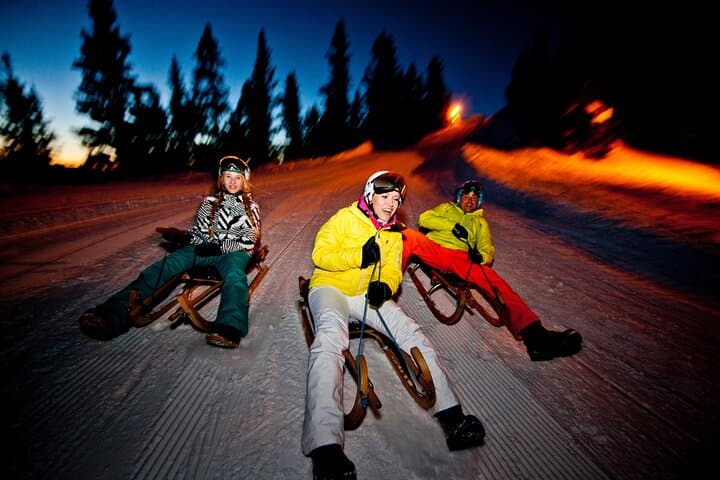 Night Sledding from Interlaken: Moonlit Sled Ride Through Forests & Frozen Waterfalls