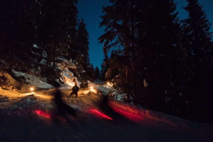 Night Sledding from Interlaken: Moonlit Sled Ride Through Forests & Frozen Waterfalls photo 3