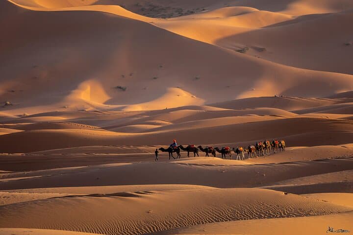 8-Day Camel Trek to Erg Chigaga: Sahara Caravan from Marrakech photo 3