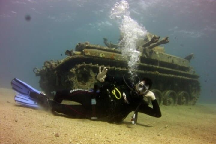 Half-Day Glass-Bottom Boat Cruise in Aqaba: Coral Reefs & Wrecks