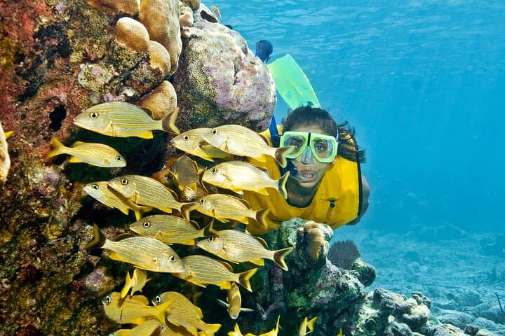 Mayan Adventour: Caleta & Cavern Snorkeling Tour in the Riviera Maya photo 4
