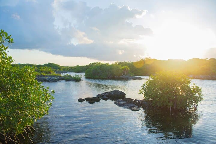 Mayan Cenote & Yal Kú Cove Adventure from the Riviera Maya photo 6