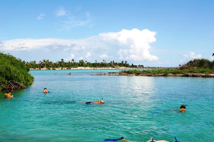 Riviera Maya Yal-Kú Snorkel, ATV & Zipline Day Adventure photo 6