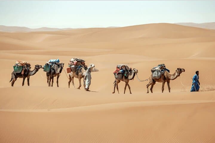 8-Day Camel Trek to Erg Chigaga: Sahara Caravan from Marrakech photo 5