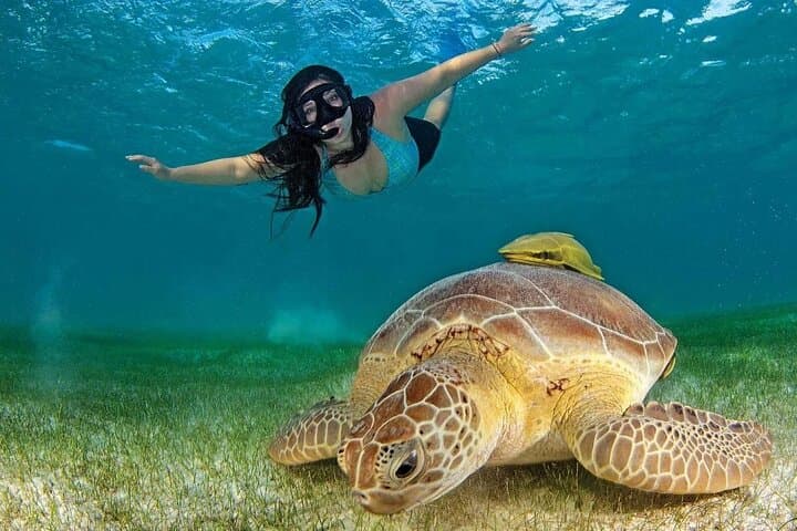 Akumal Turtle Snorkel & Tulum Ruins Day Trip from Playa del Carmen photo 5