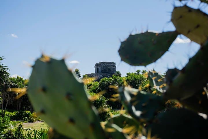 Tulum Ruins & Akumal Turtles: Full-Day Snorkel and Cultural Tour from Cancun photo 2