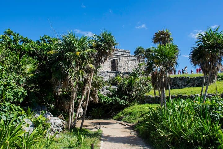 Akumal Turtle Snorkel & Tulum Ruins Day Trip from Playa del Carmen photo 6