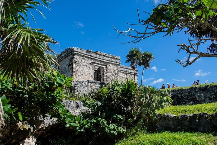 Akumal Turtle Snorkel & Tulum Ruins Day Trip from Playa del Carmen photo 2