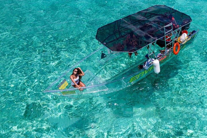Clear-Boat Snorkel Tour in Cozumel — Ferry from Cancun & Playa Del Carmen photo 5