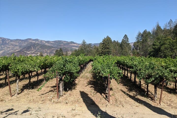 Full-Day Napa & Sonoma Valley Private Wine Tour from San Francisco photo 2