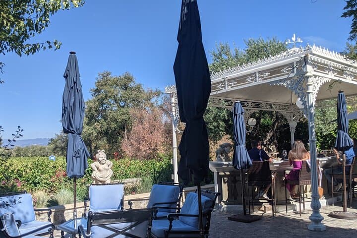Full-Day Napa & Sonoma Valley Private Wine Tour from San Francisco photo 4