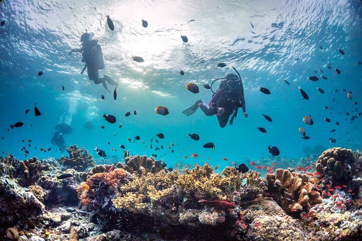 PADI Open Water Course Kota Kinabalu: 3-Day Certification on Sapi Island photo 4