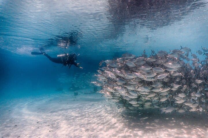 Discover Scuba Diving in Kota Kinabalu: 2 Dives at Sapi Island