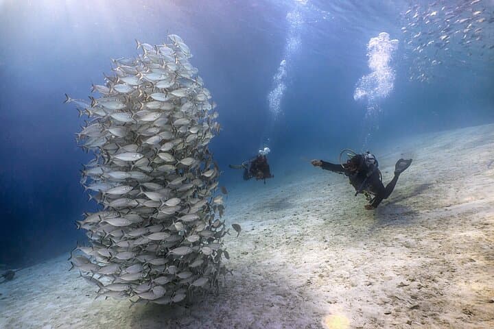 Discover Scuba Diving in Kota Kinabalu: 2 Dives at Sapi Island photo 5