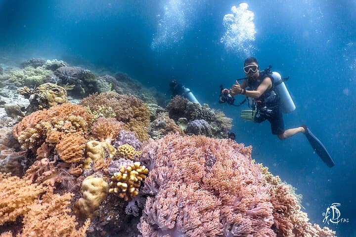 PADI Advanced Open Water in Kota Kinabalu — Dive to 30m with Go Aquatic photo 5