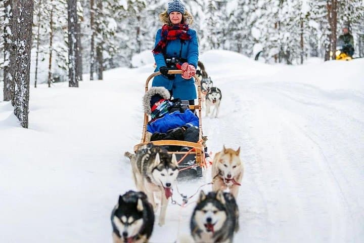 10km Husky Safari in Rovaniemi — Self-Drive Snow Trail Adventure photo 4