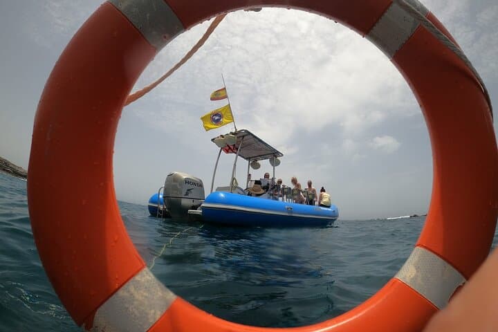 Private Sea Safari: Dolphin & Whale Watching with Snorkeling off Tenerife