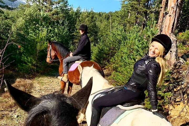 Horse Riding in Rila National Park — Guided Trail Rides Through Pines, Meadows & Rivers