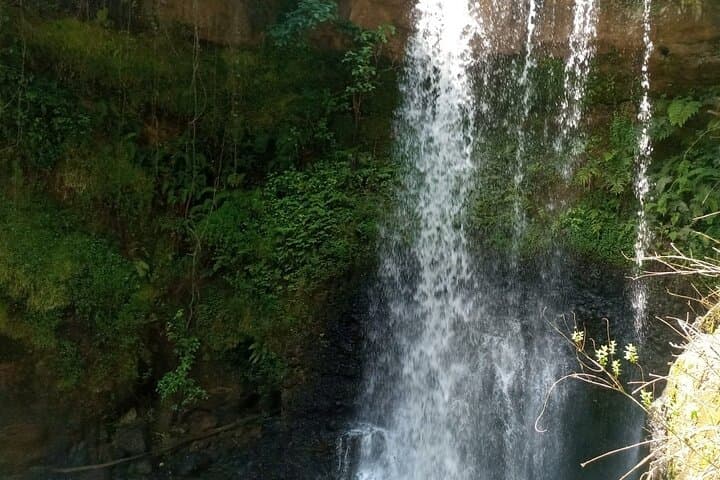 Purple Tea Farm Tour: Tea Picking, Tasting & Waterfall Walk Near Nairobi photo 2