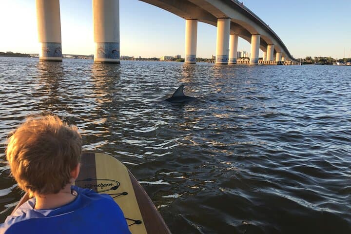 Daytona Riverfront Paddle Board Rentals — Explore Halifax River Canals and Wildlife