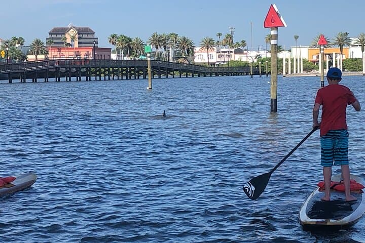 Daytona Riverfront Paddle Board Rentals — Explore Halifax River Canals and Wildlife photo 3