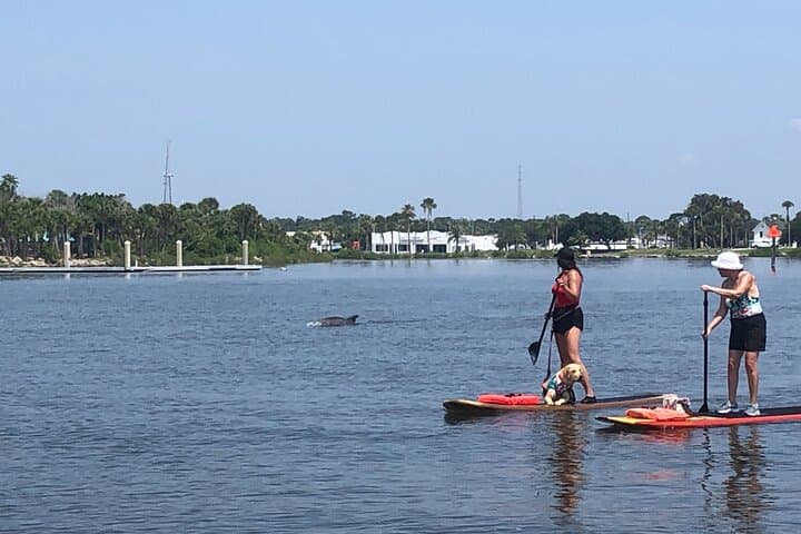 Daytona Riverfront Paddle Board Rentals — Explore Halifax River Canals and Wildlife photo 4