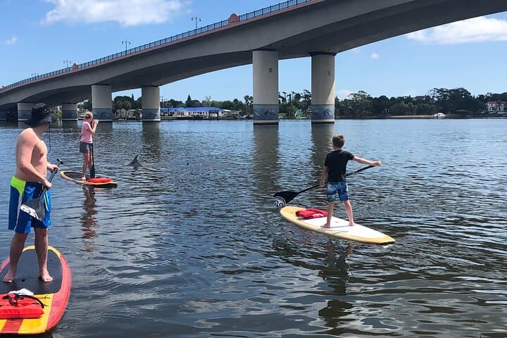Daytona Riverfront Paddle Board Rentals — Explore Halifax River Canals and Wildlife photo 5