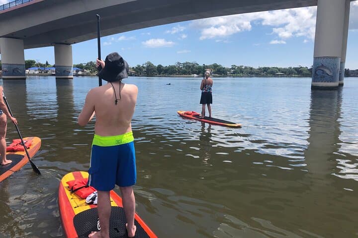 Daytona Riverfront Paddle Board Rentals — Explore Halifax River Canals and Wildlife photo 6