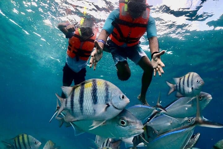 Clear-Boat Snorkel Tour in Cozumel — Ferry from Cancun & Playa Del Carmen photo 6