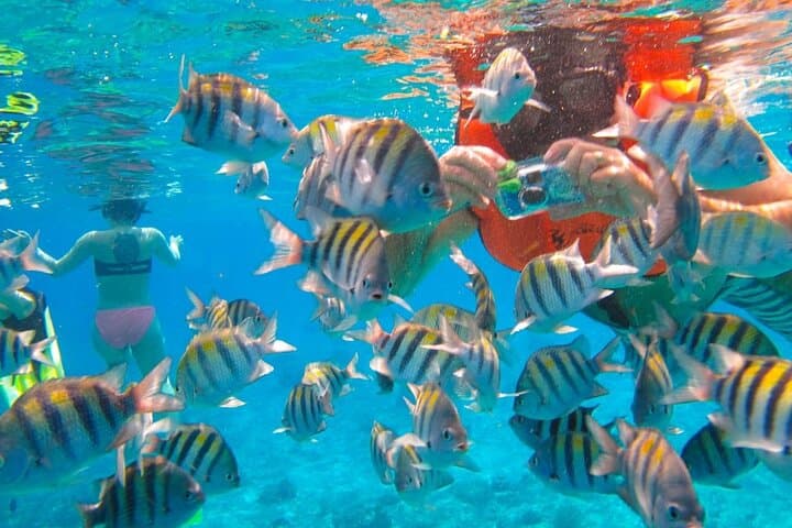 Clear Boat Snorkel Tour to Cozumel from Playa del Carmen photo 3