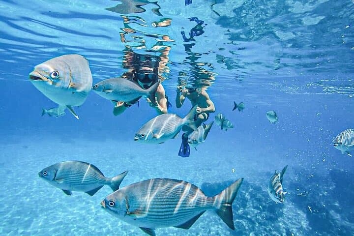 Cozumel El Cielo, Palancar & Colombia Reefs Snorkel Day Trip from Cancun