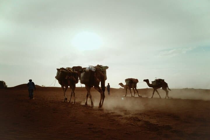 5-Day Desert Trek from Marrakech: Sahara Hike & Nomadic Camp in M'Hamid photo 3