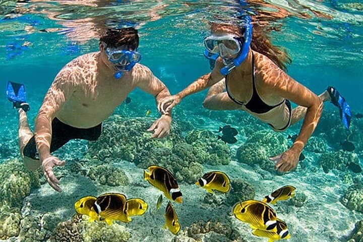 Phu Quoc 4-Island Speedboat & Reef Adventure: Snorkel, Swim and Sea-Walk photo 1